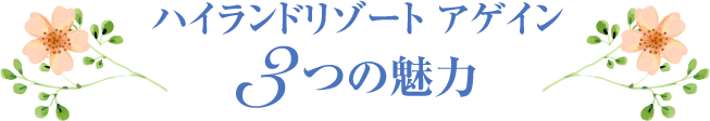 3つの魅力