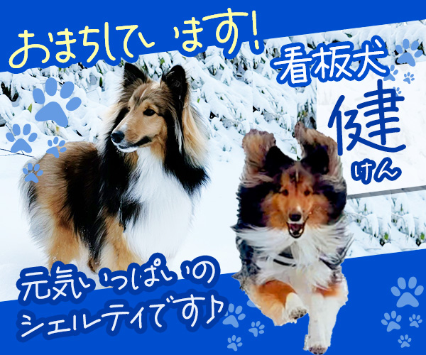 看板犬「健」